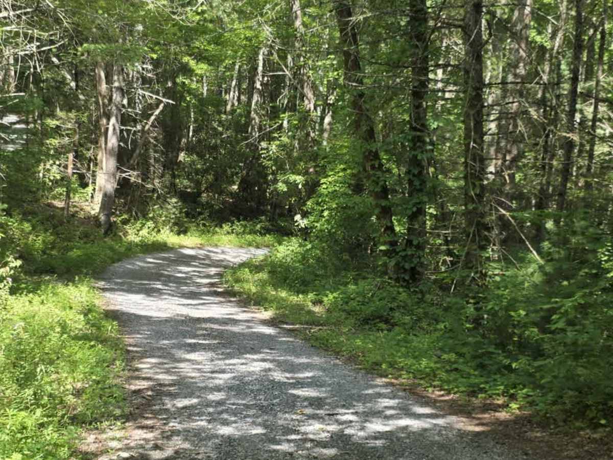 Round Mountain Road photo 2