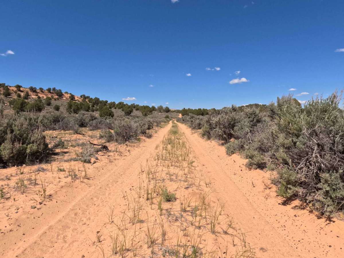BLM 101M photo 4