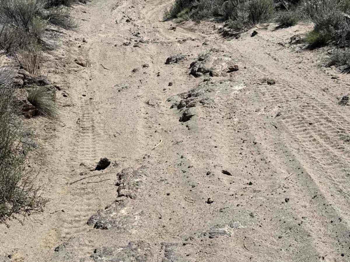 East Fort Rock - OHV Trail 10 photo 2