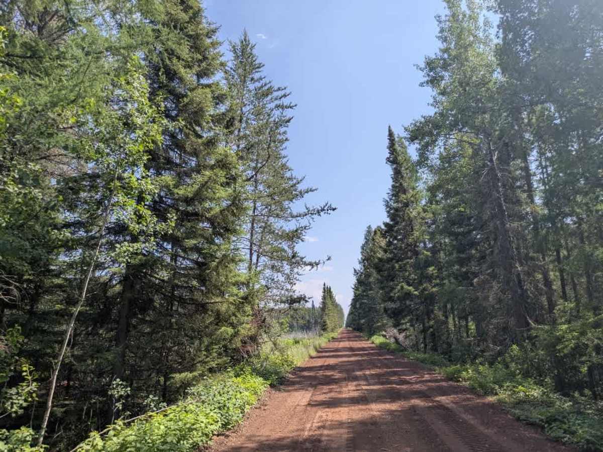 FS 379 trail photo