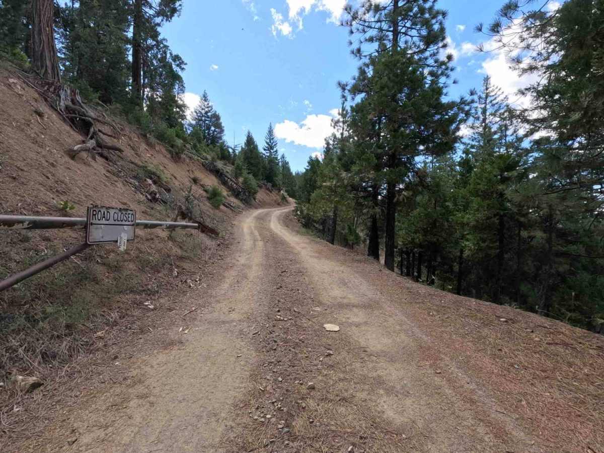 Bonanza King Lookout - FS 38N85 photo 3