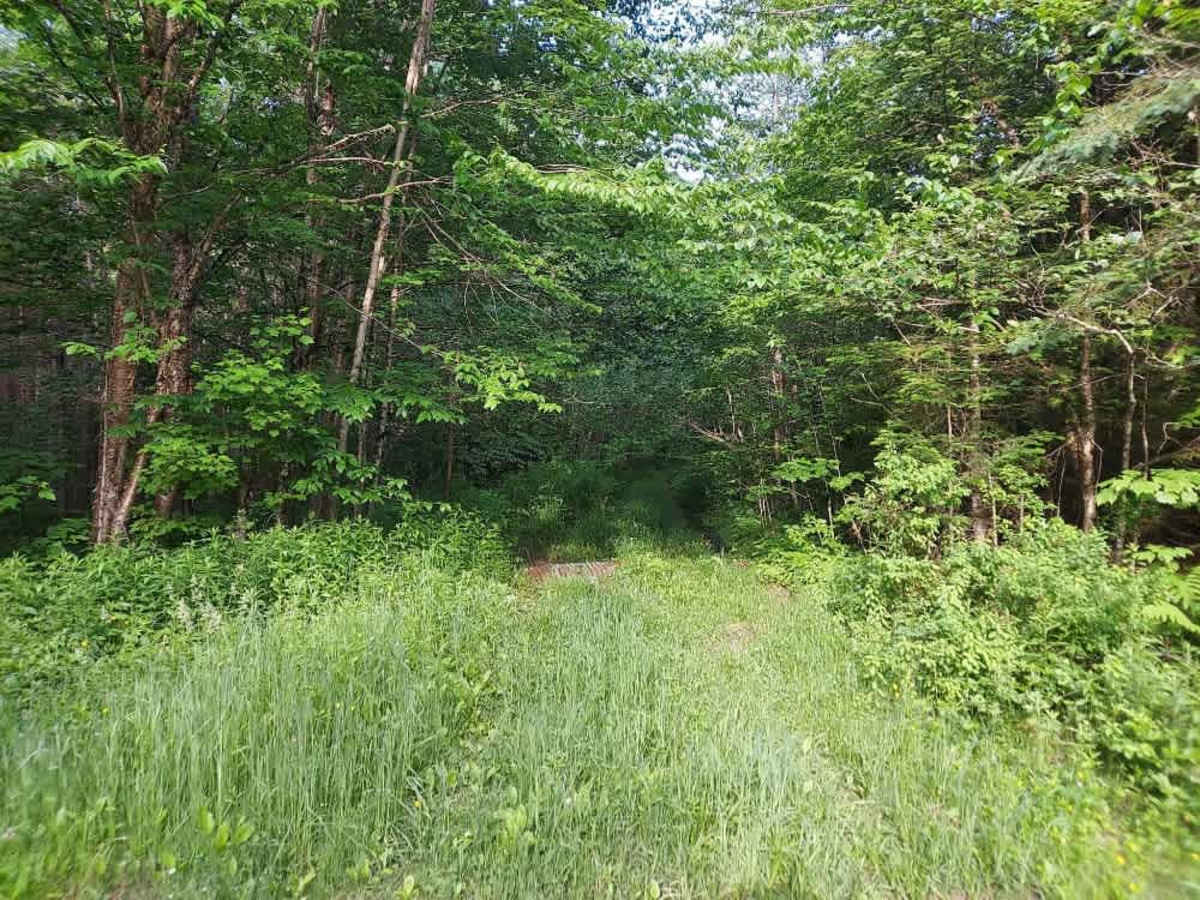 Tabor Brook Trail photo 5