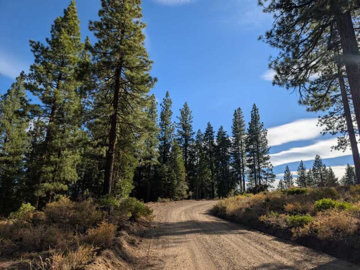 FS 24N06 trail photo