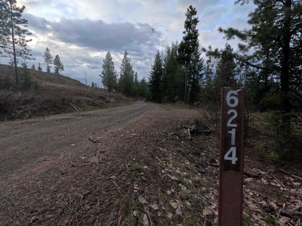 Hoodoo - FS 6214 trail photo