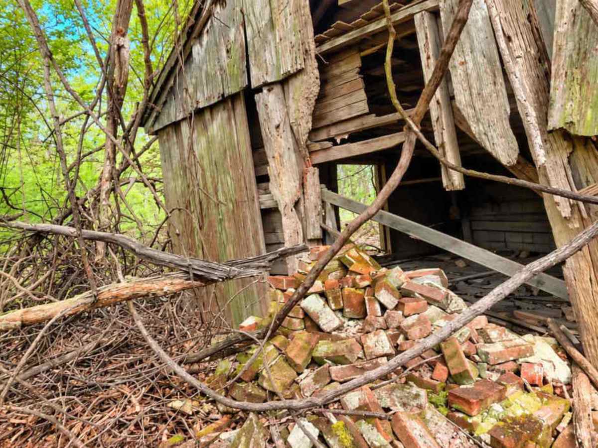 Old Ruins Trail photo 5