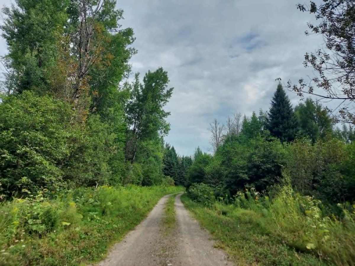Bank Farm Road trail photo