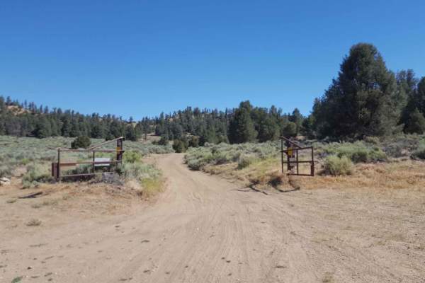 West Frazier Tie & Mine Road - FS 8N42