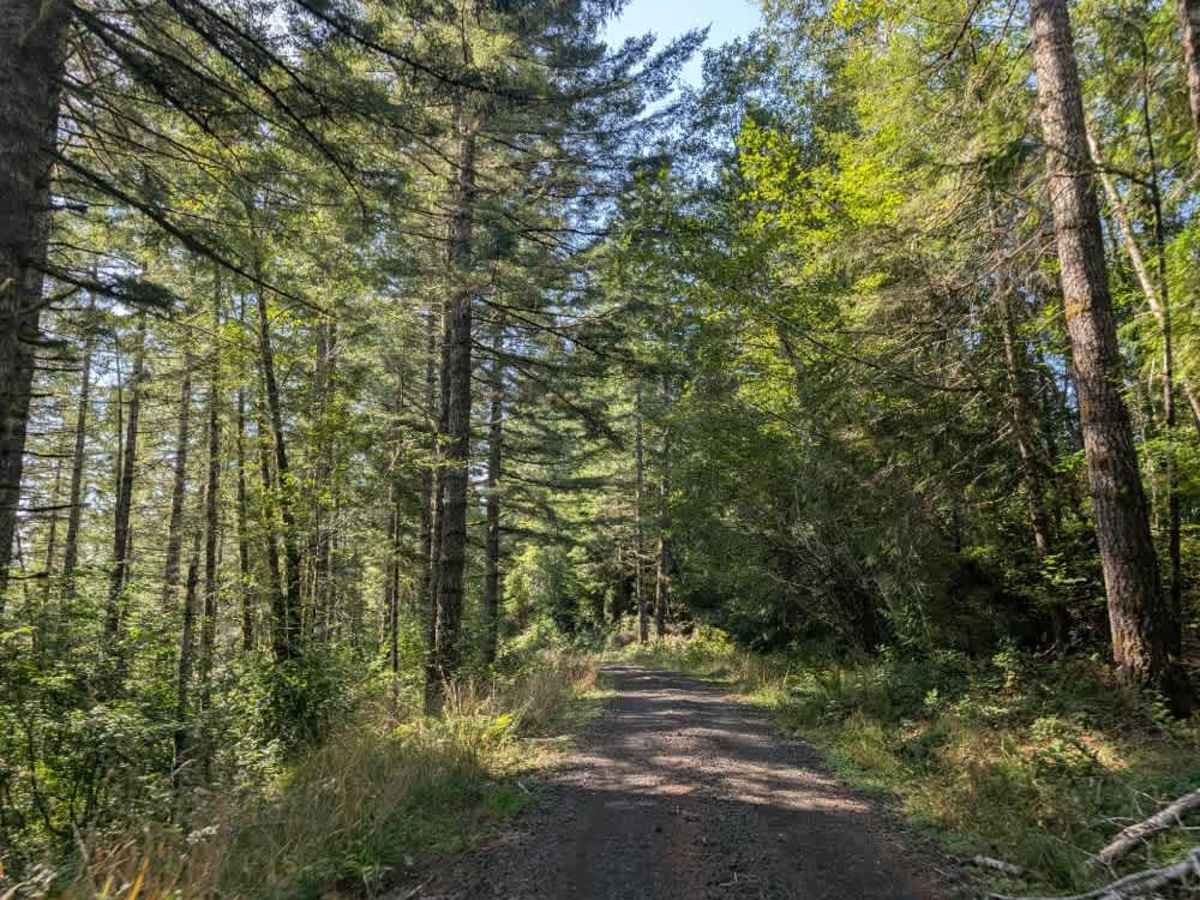 David Ridge Road photo 3