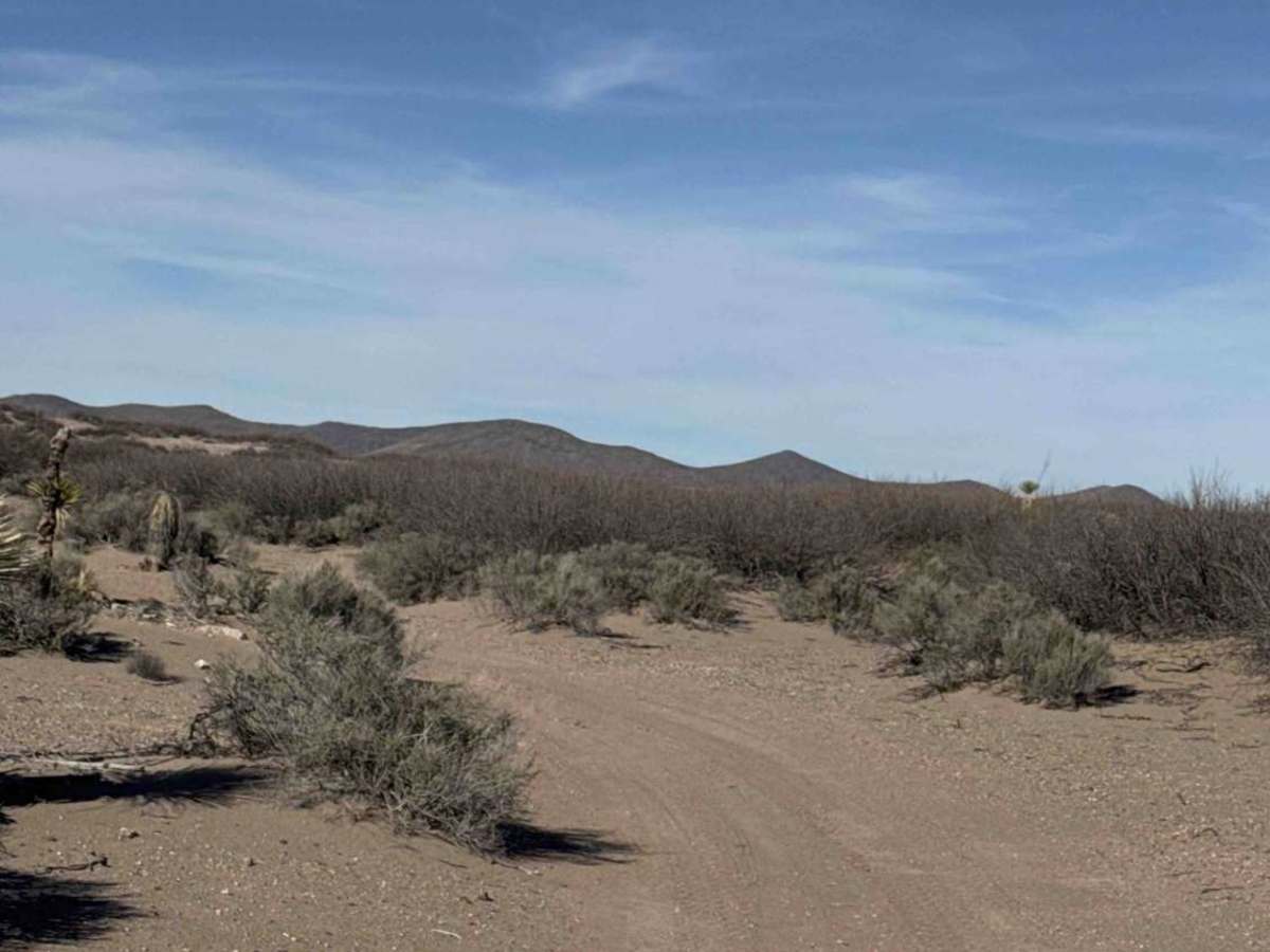 Ss1104 photo 2