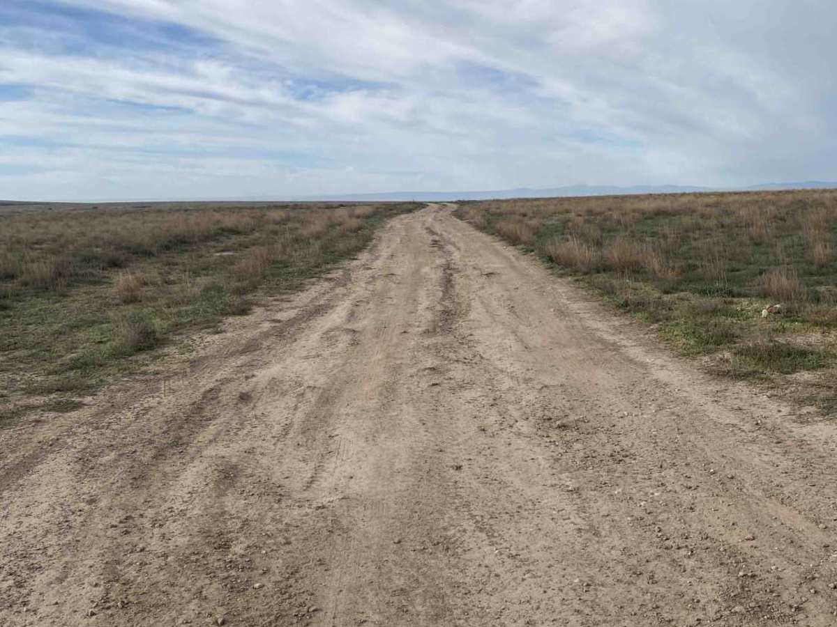 Crater Ring photo 2