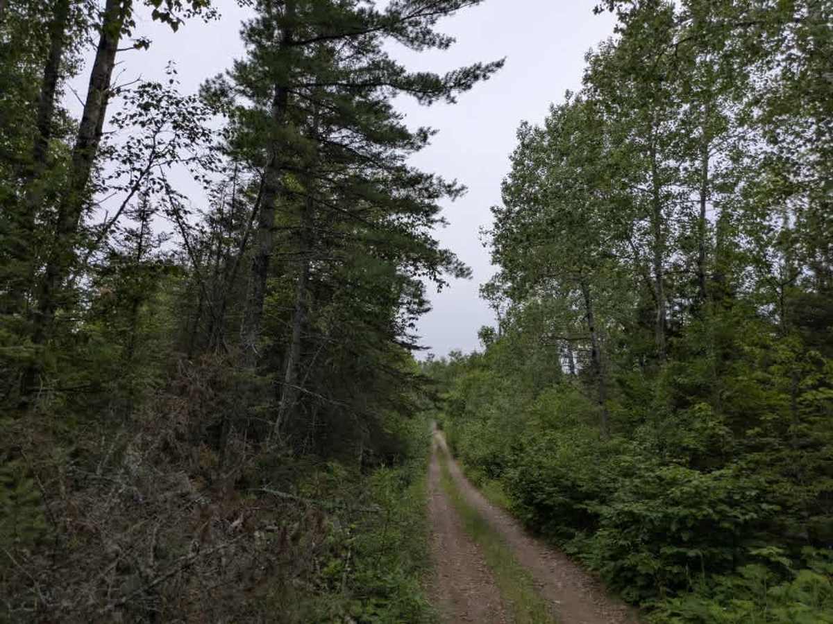 Wigwam Lake photo 5