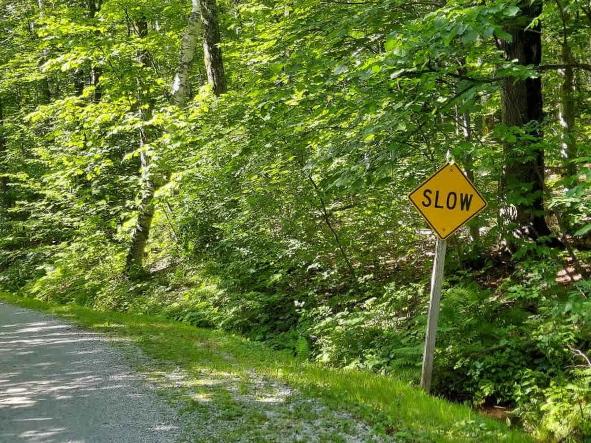 Coolidge State Park Road photo 2