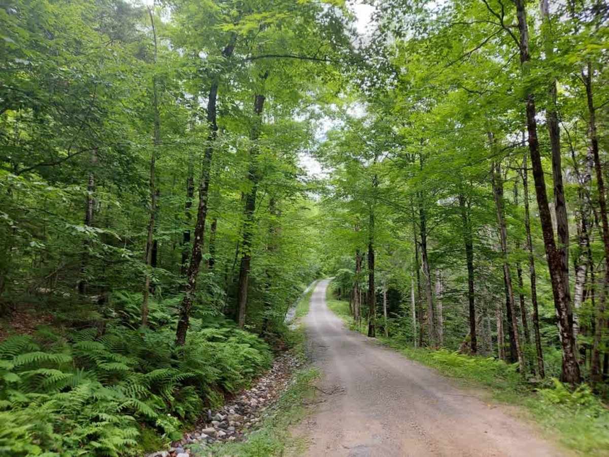 Messer Hill Road photo 2