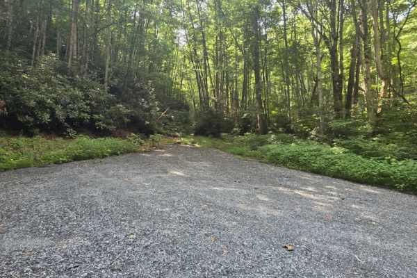Puncheon Camp Road