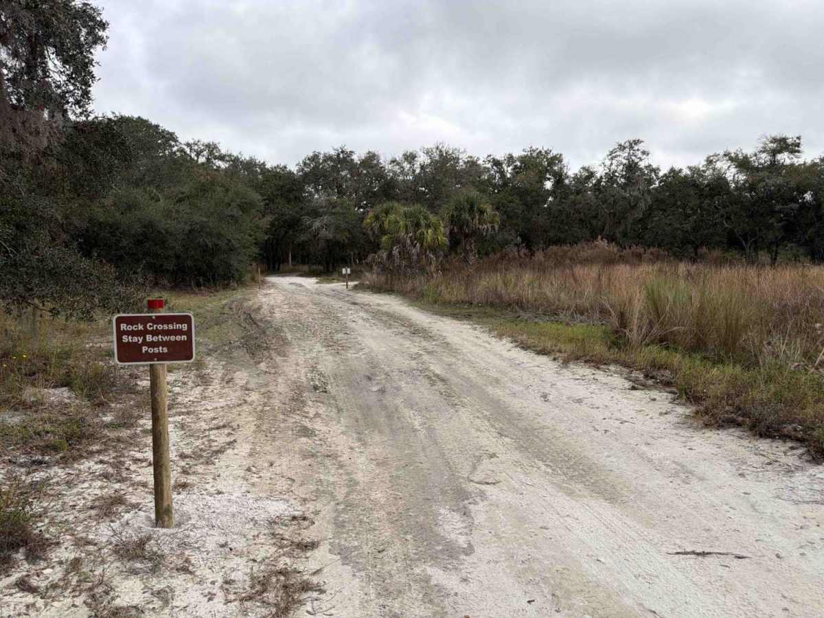 Sailor Hammock Road - Three Lakes WMA photo 4