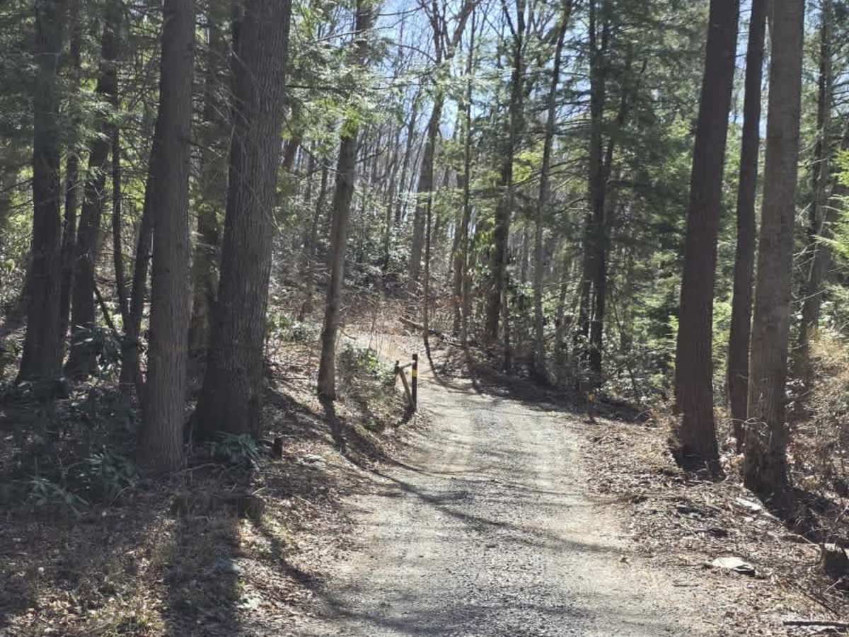 Cedar Gap photo 2