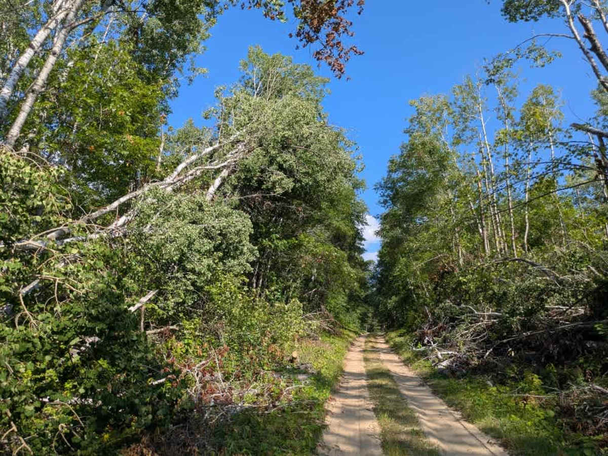 Camp Cassaway CT Southeast photo 4