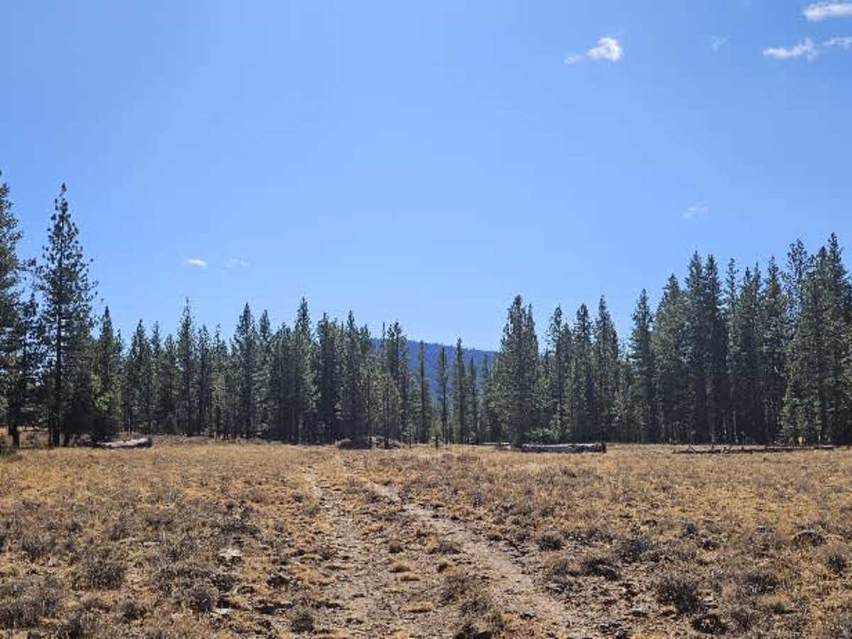 FS 32N02C trail photo