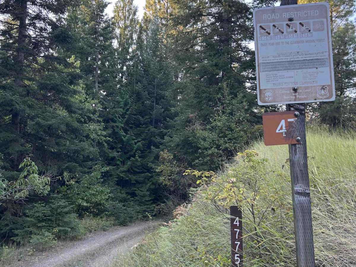 Carrico Mine - FS 4775  trail photo