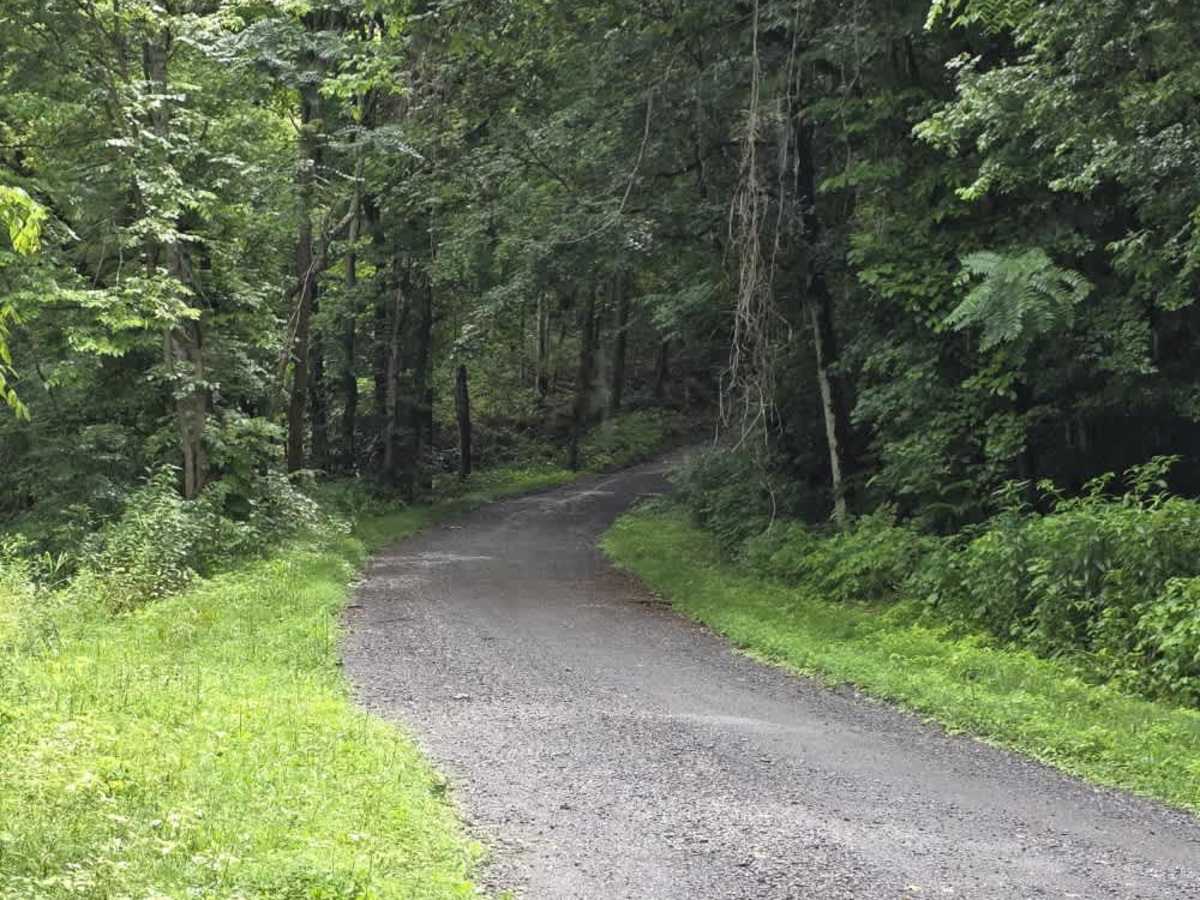 Beech Grove Road - Macon County Tour photo 3