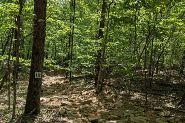 Trail 12