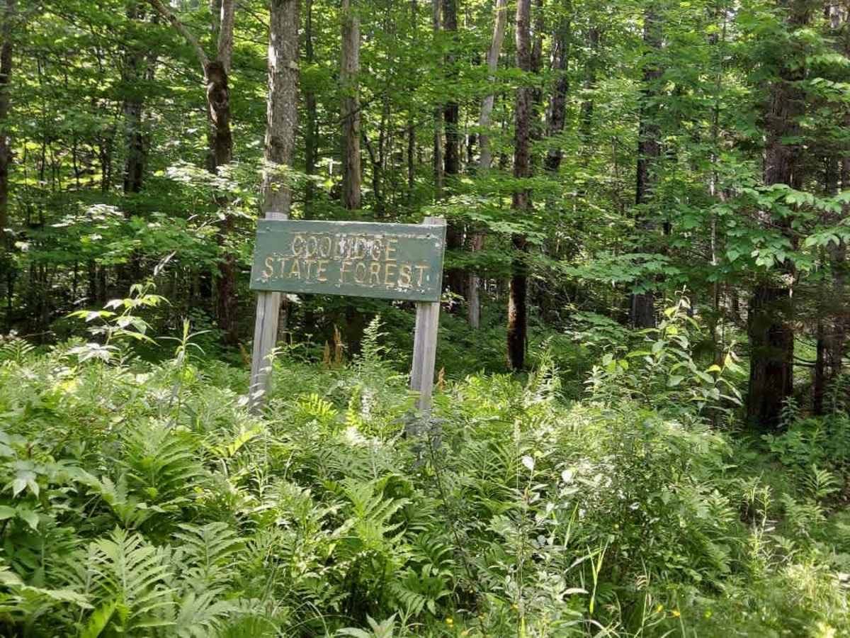 Coolidge State Park Road trail photo