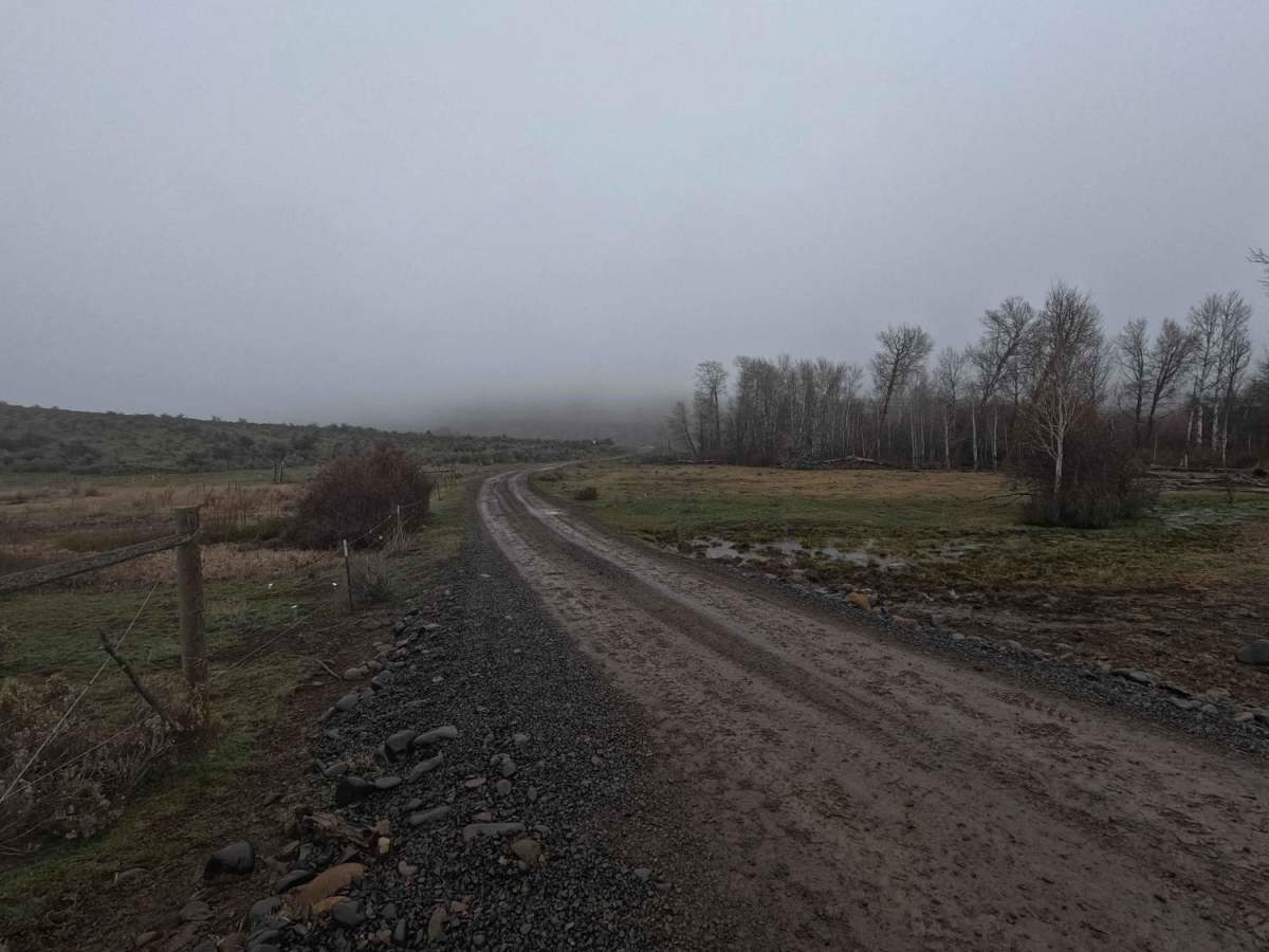 Parke Creek Road trail photo