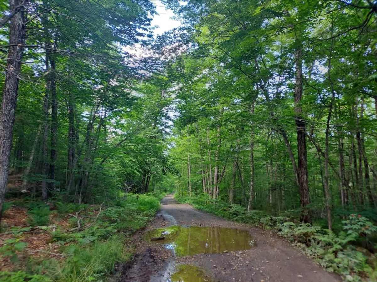 Long Hill Road photo 3