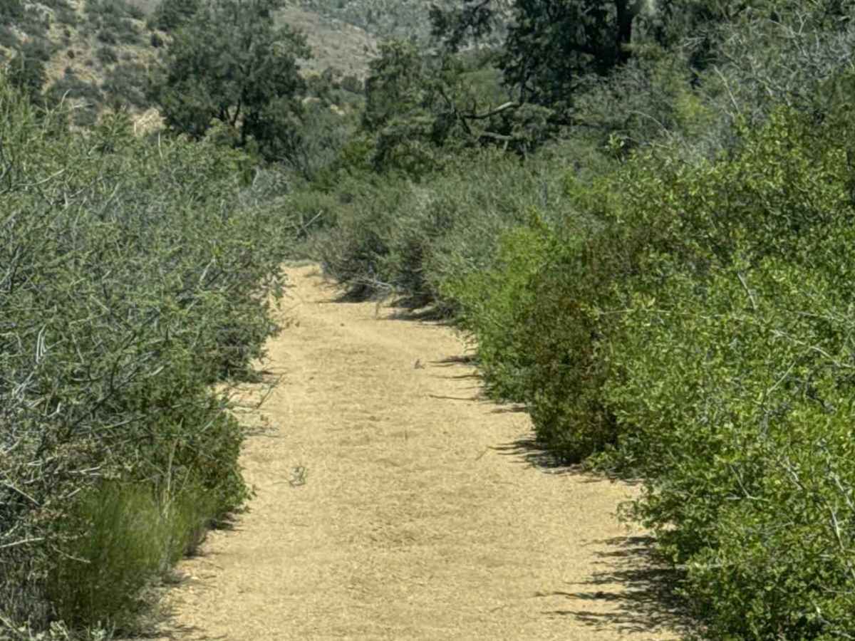 51025 trail photo