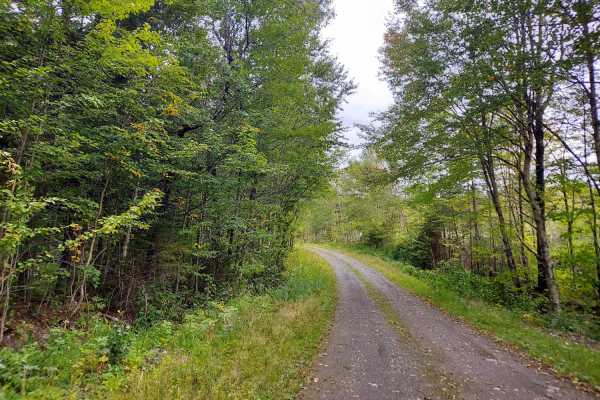 East Branch Road