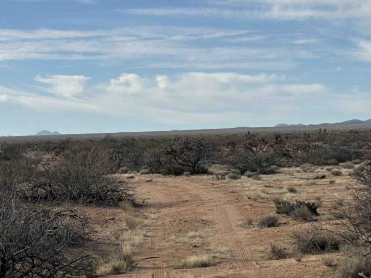 Ss1085 trail photo