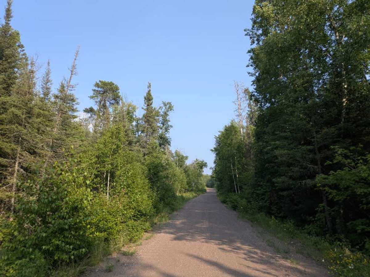 Two Moose Trail photo 2