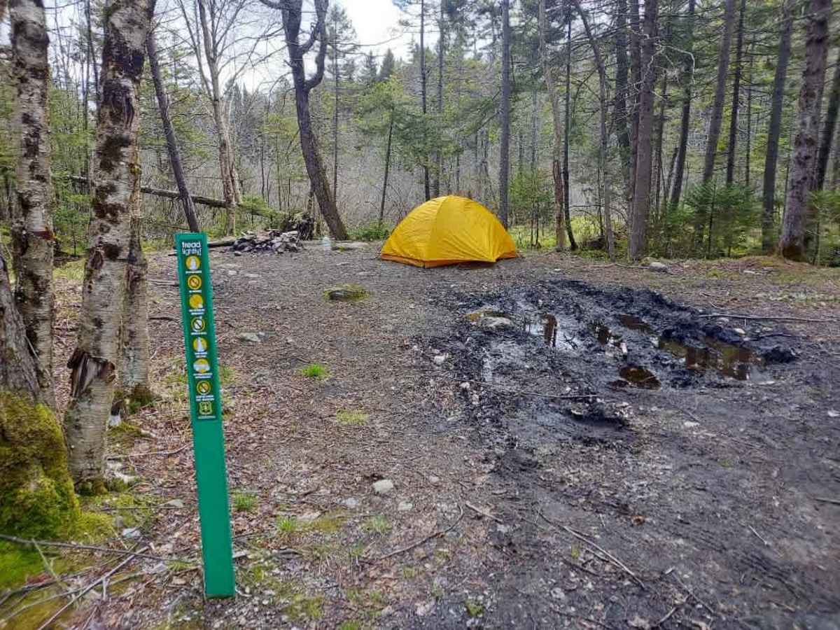 Smith Woods Trail photo 4