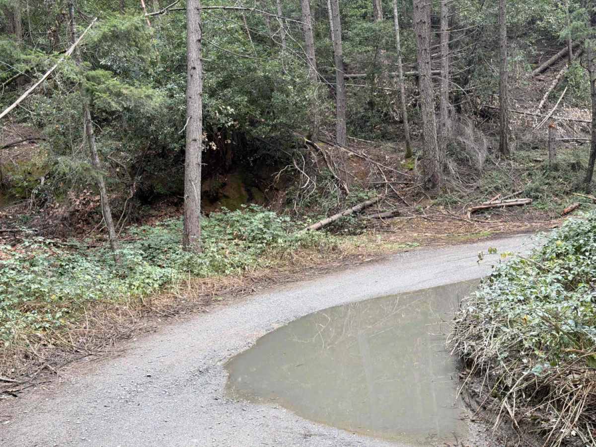 Rock Creek photo 4