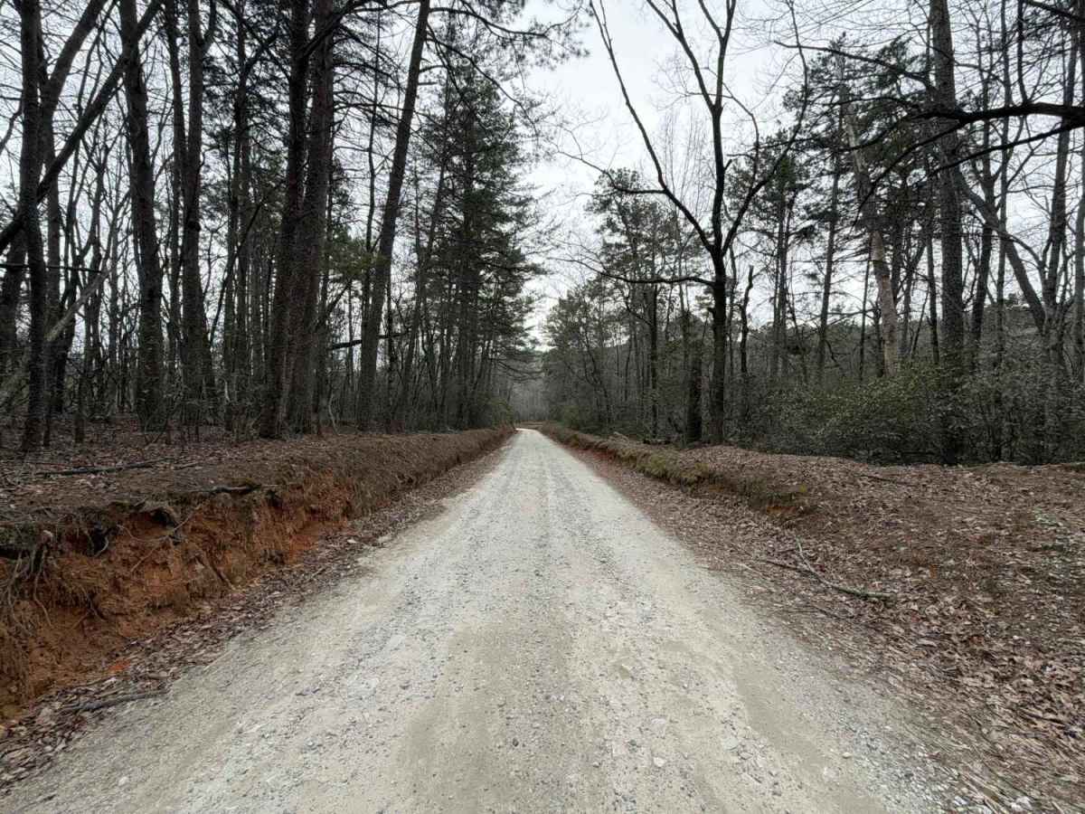 Bear Gap Road photo 4