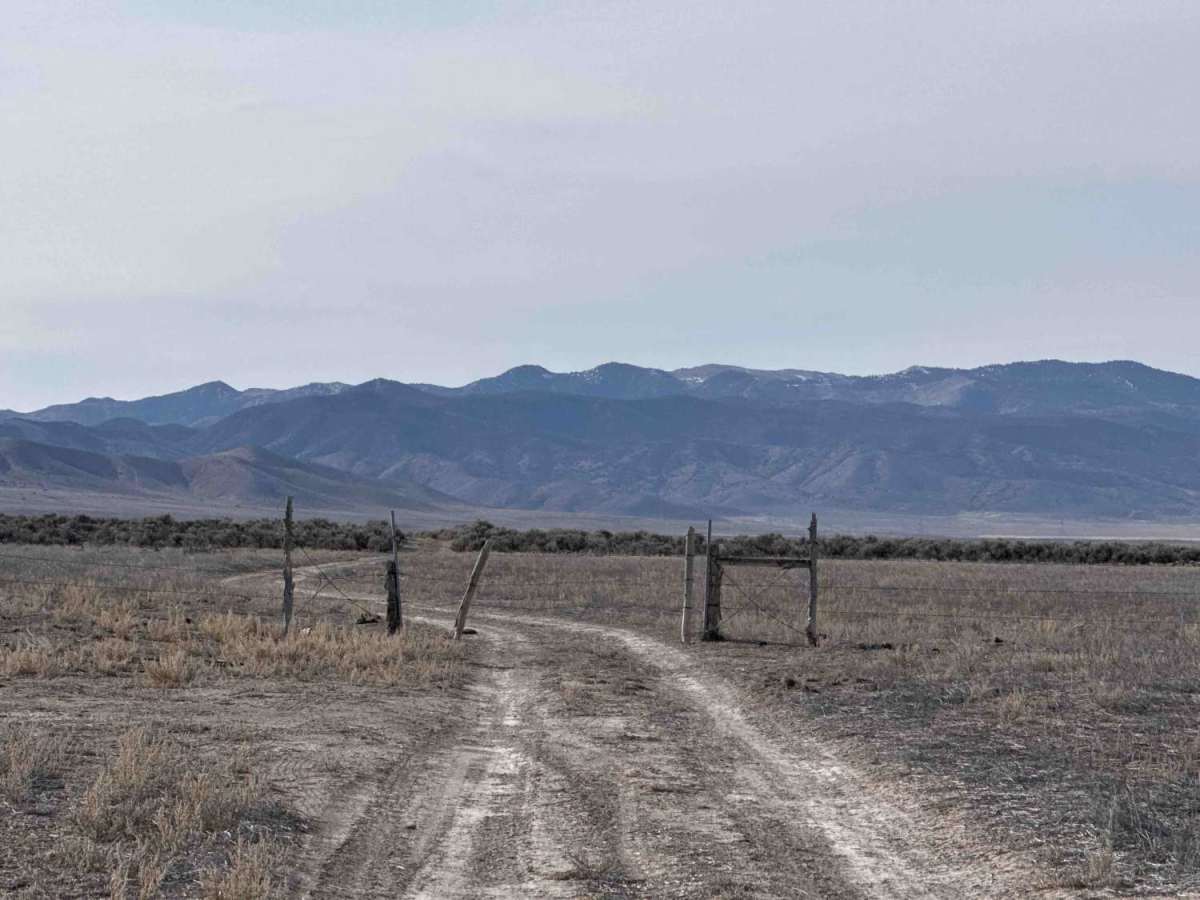 Crossroads photo 2