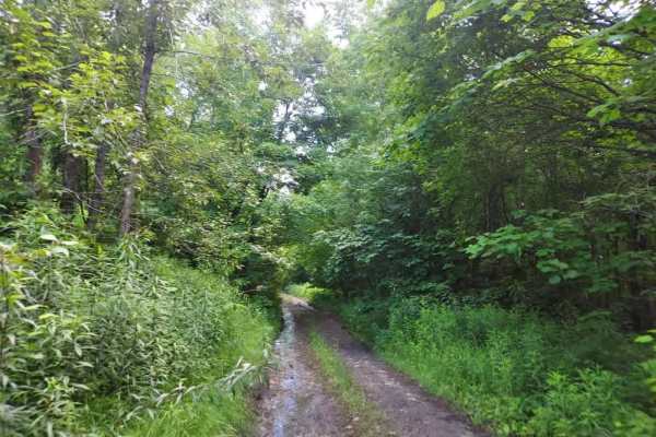 Kittridge Pasture Road