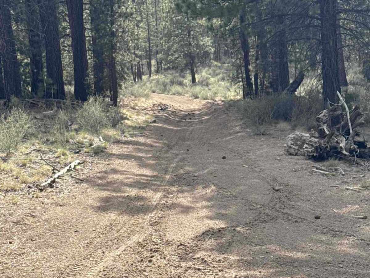 East Fort Rock - OHV Trail 9030 photo 6