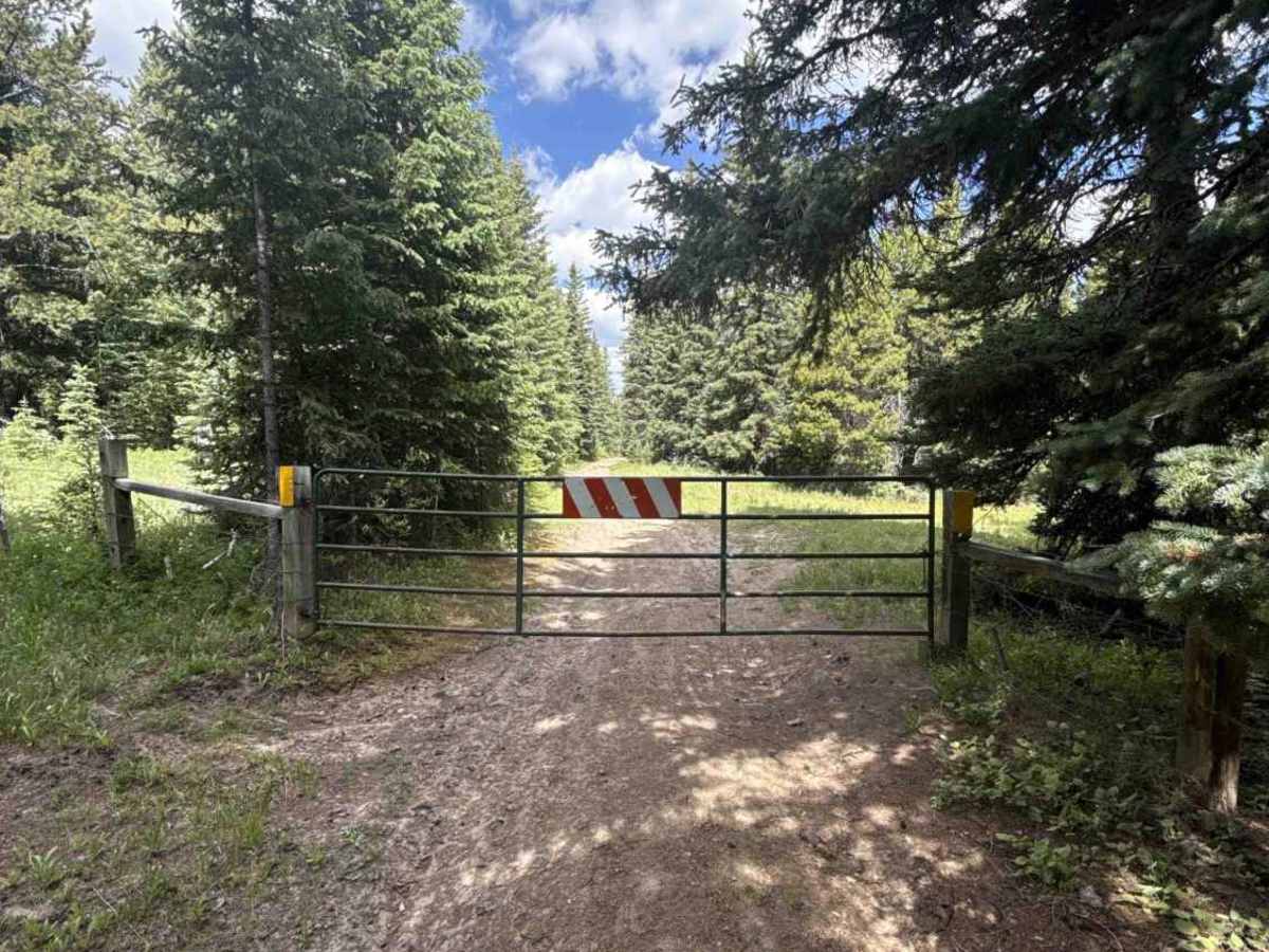 Eagle Rock Road - FS 284 photo 4