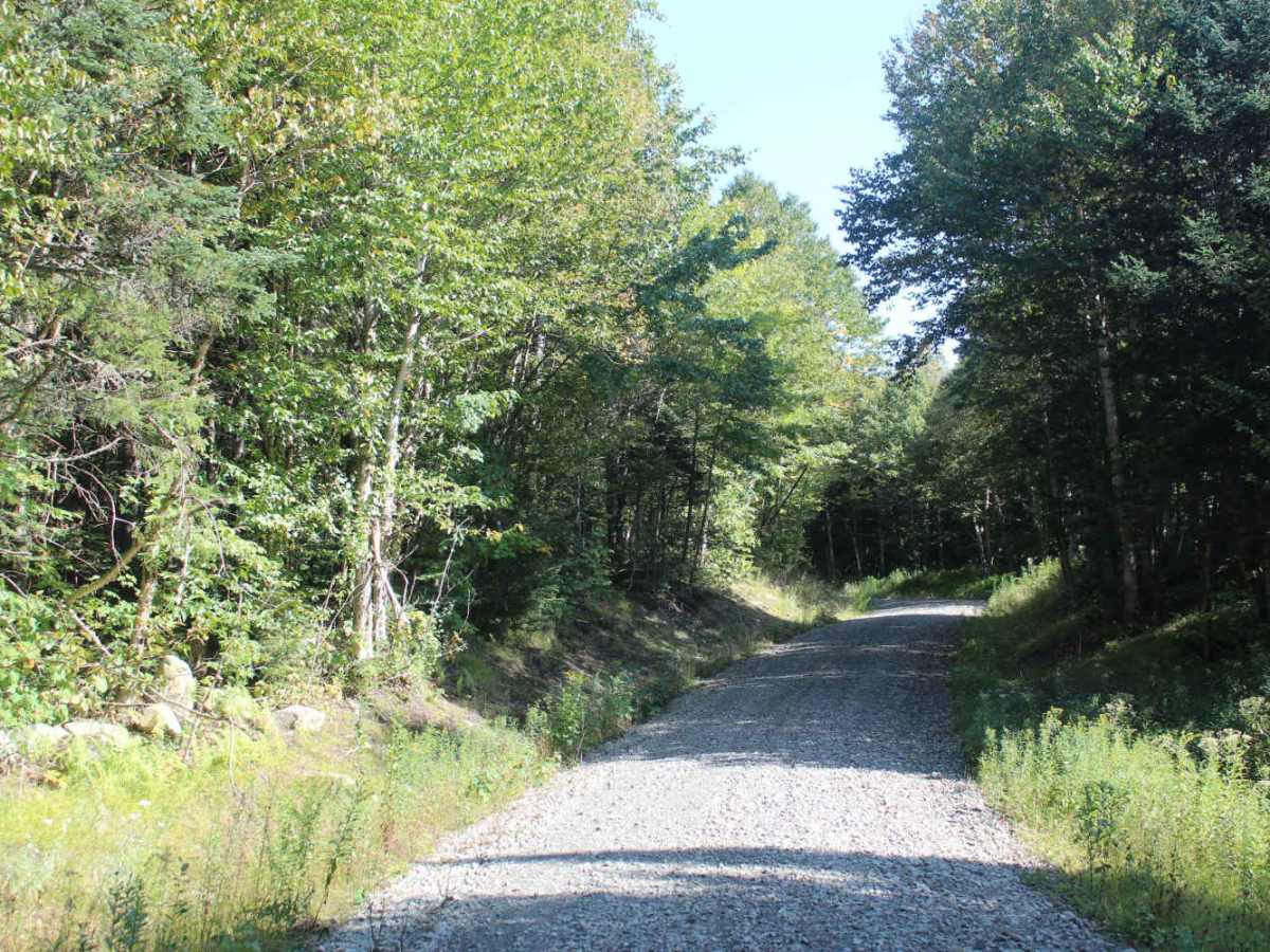 Beaman Hill Trail photo 2