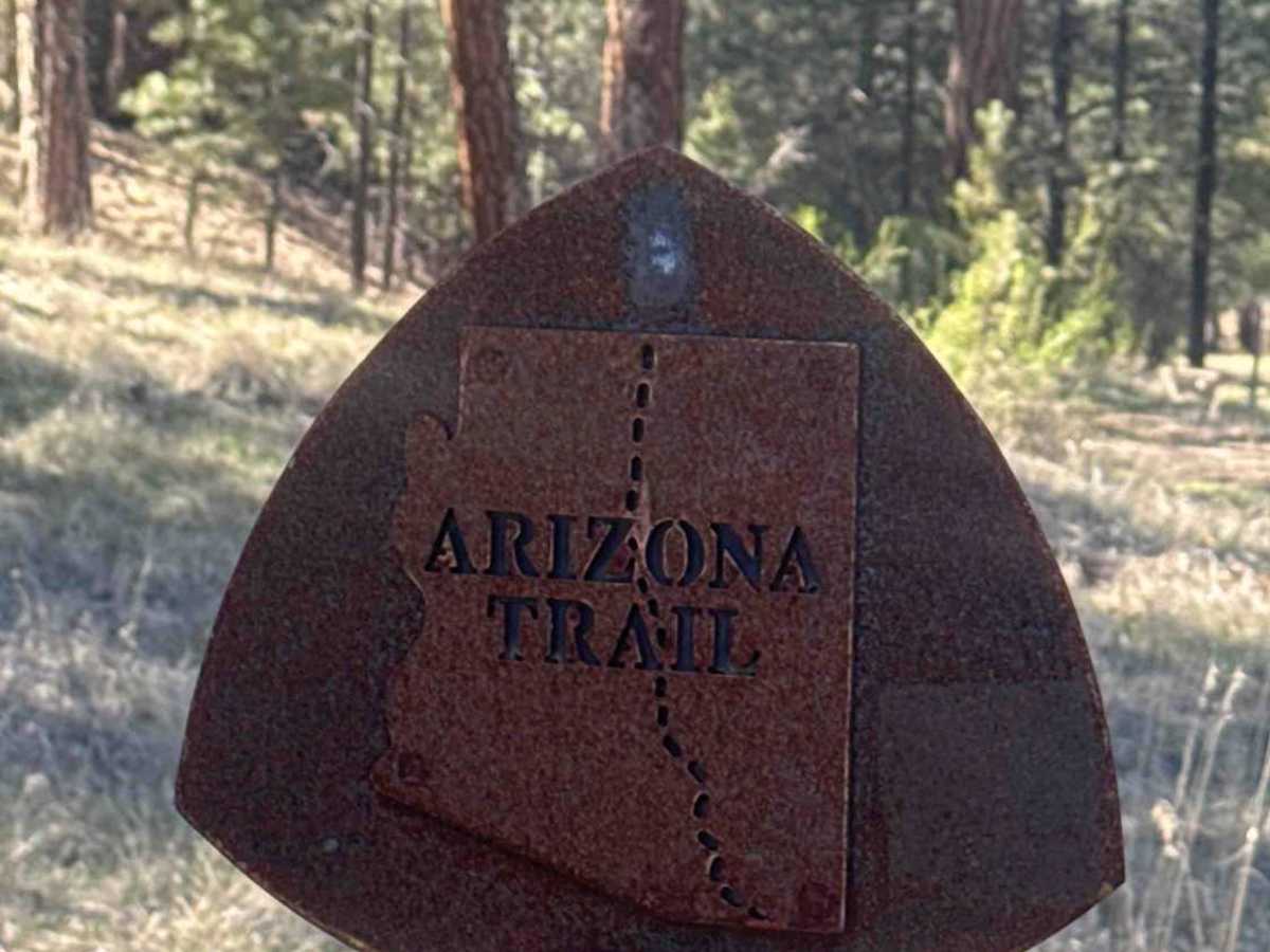 The Arizona Trail - FS 101 trail photo