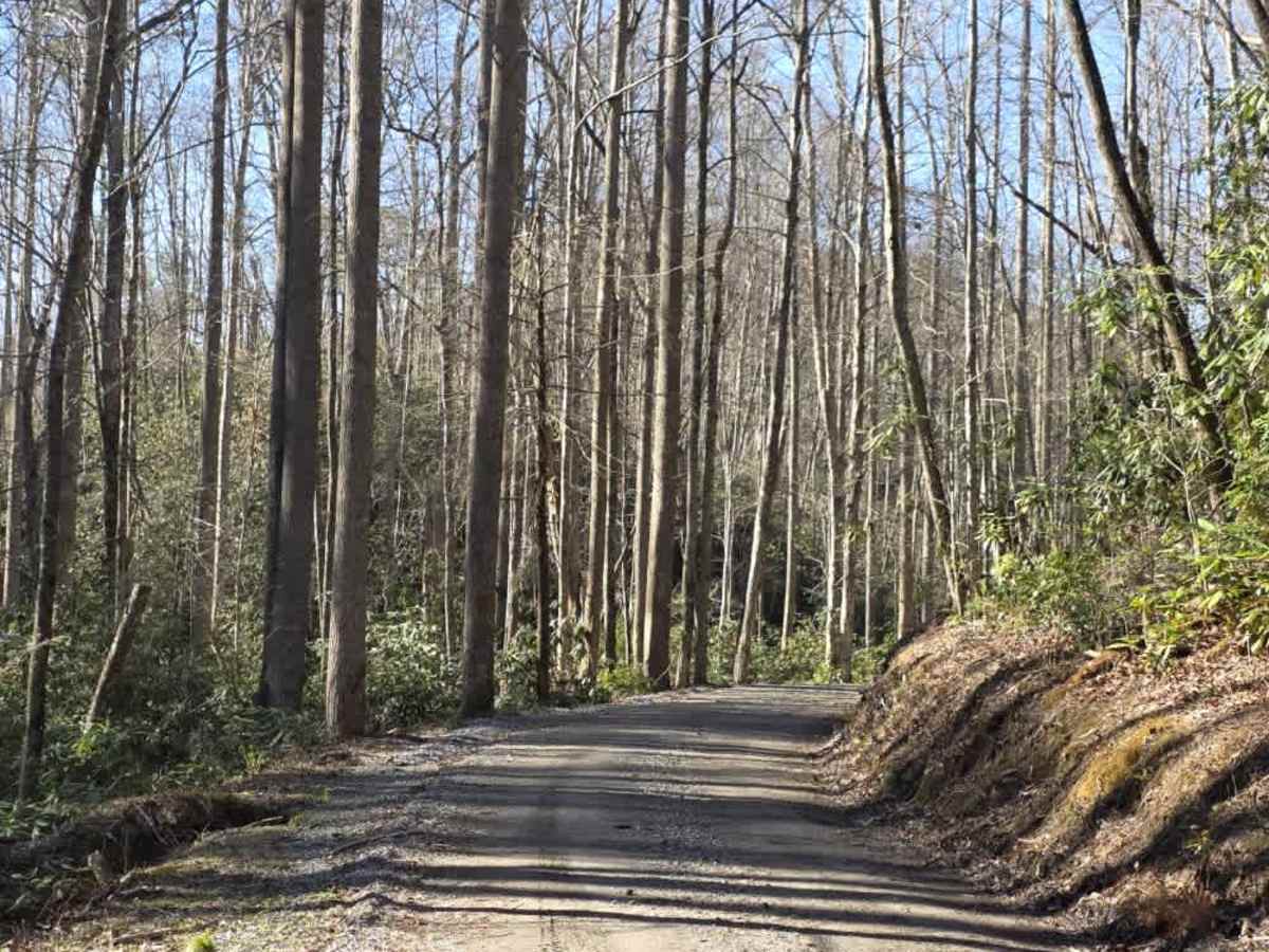 Flat Branch trail photo