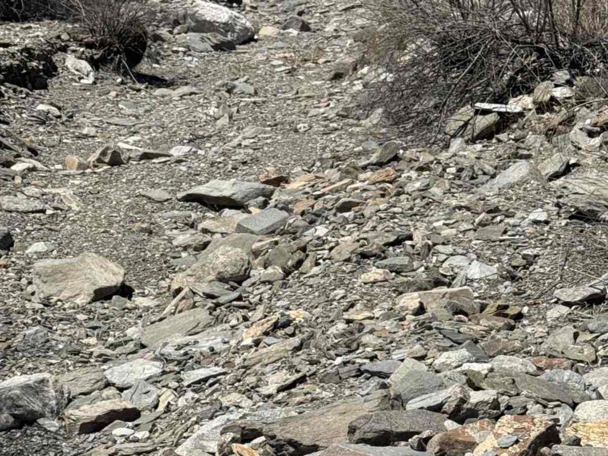 West Calcite Wash  photo 2