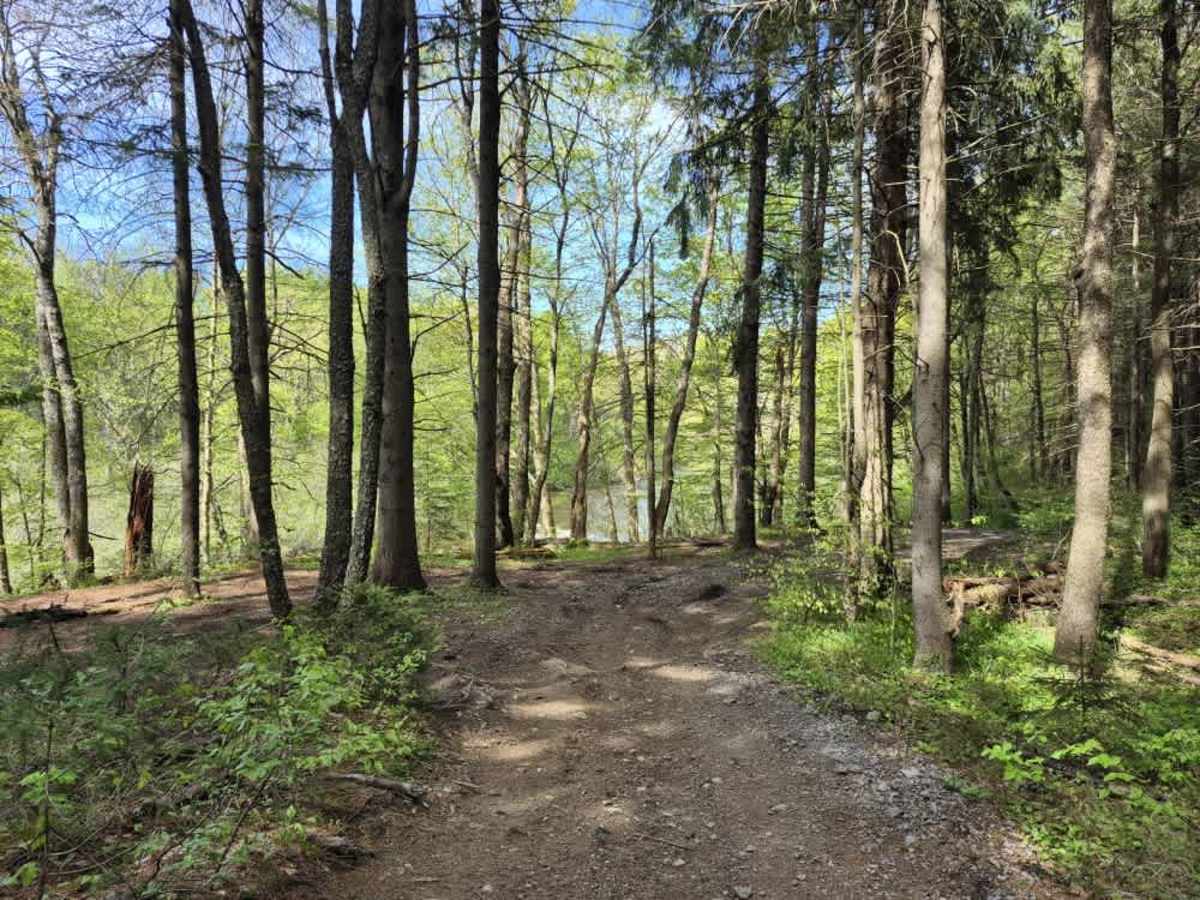 Upper Forks-Factory Trail photo 5
