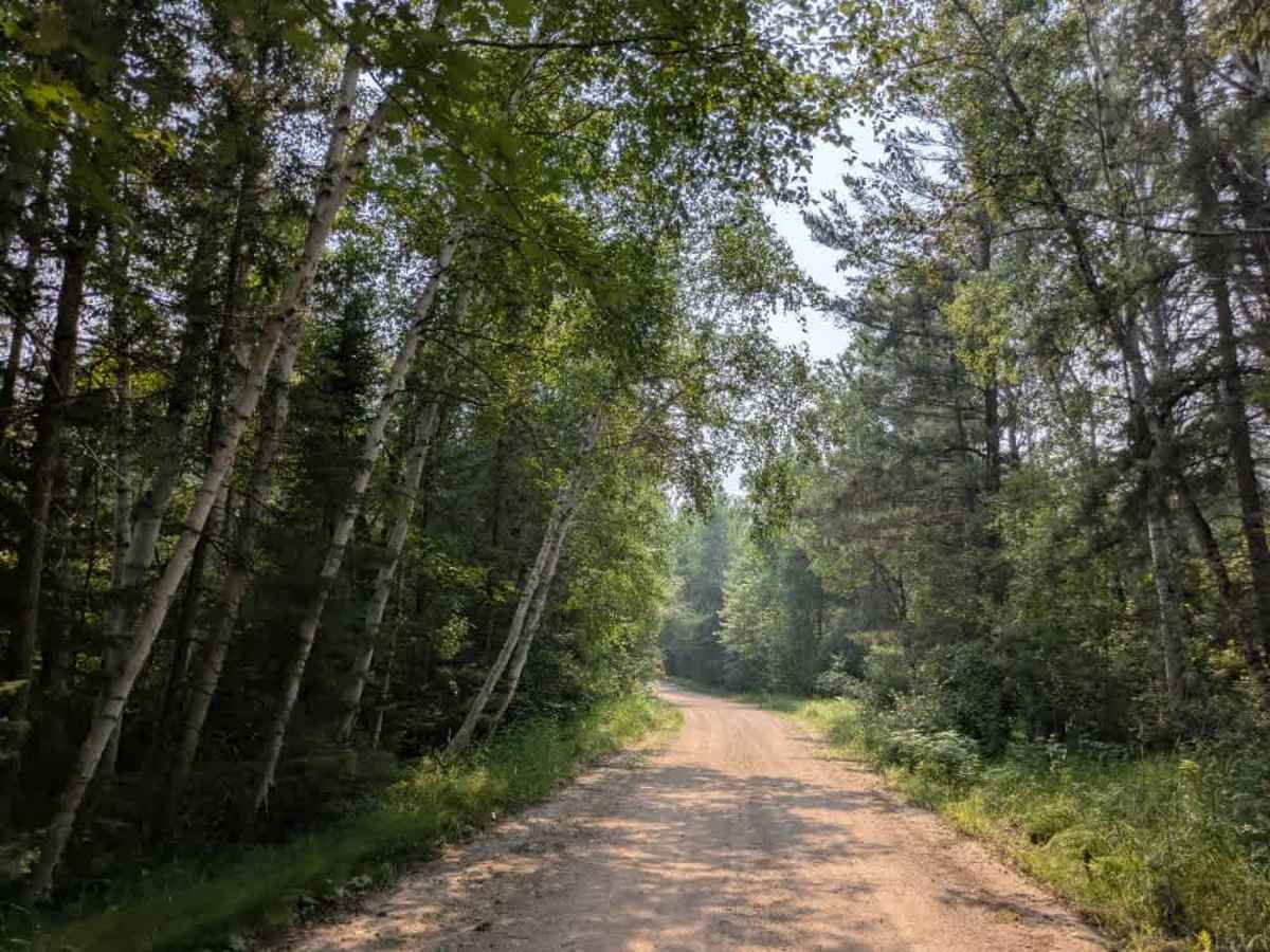 Moose Loop photo 5