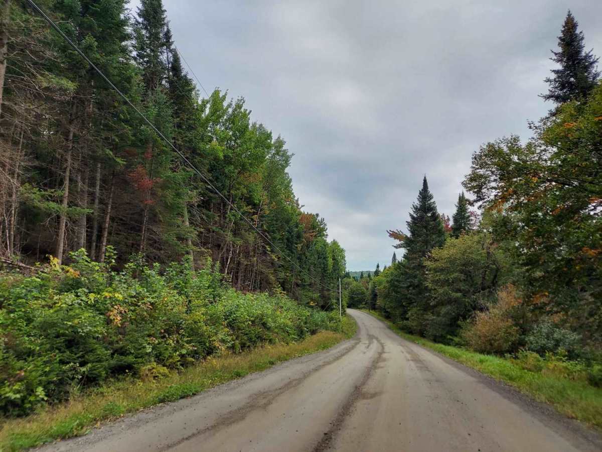River Road photo 4