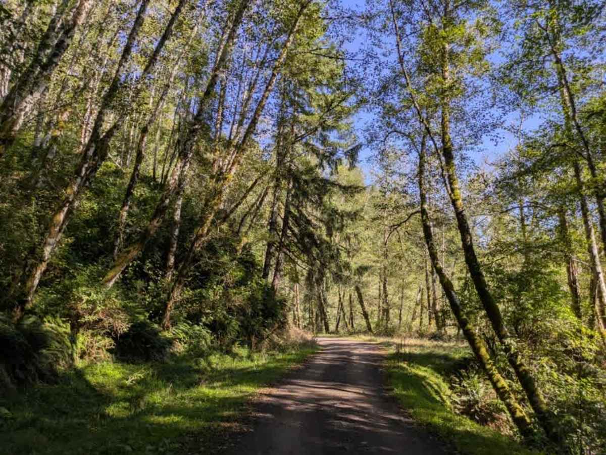 4900 trail photo