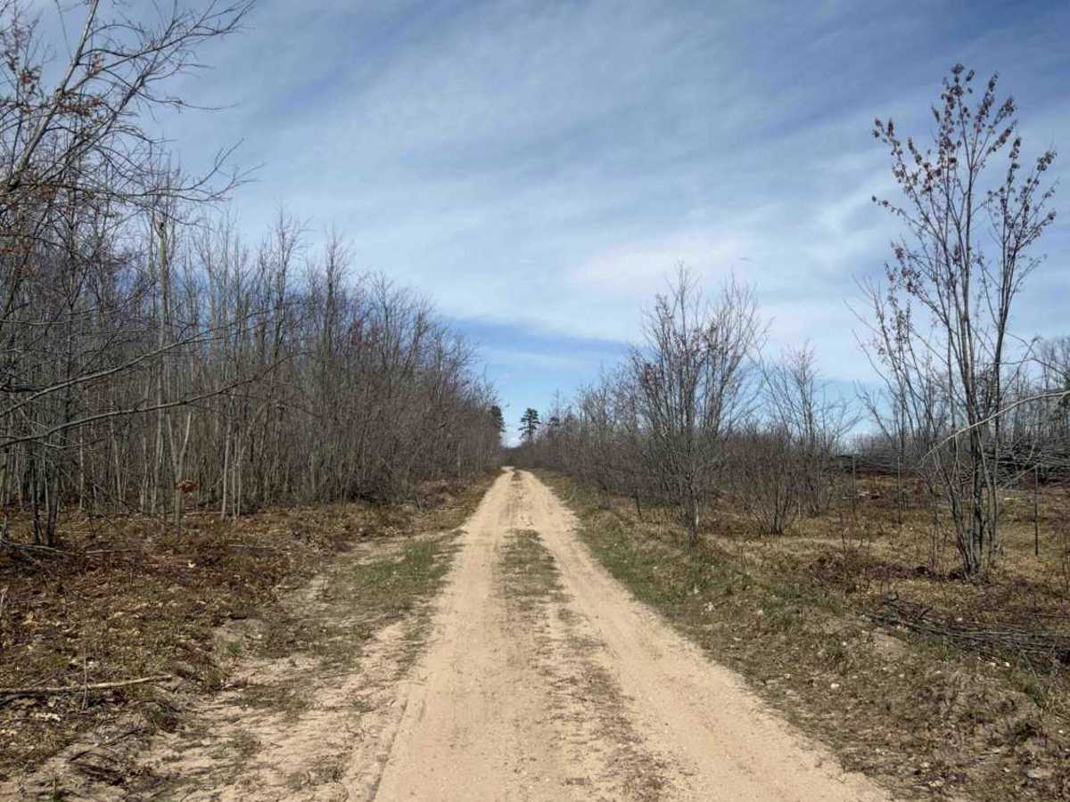 Bucks East & West Truck Trail photo 5