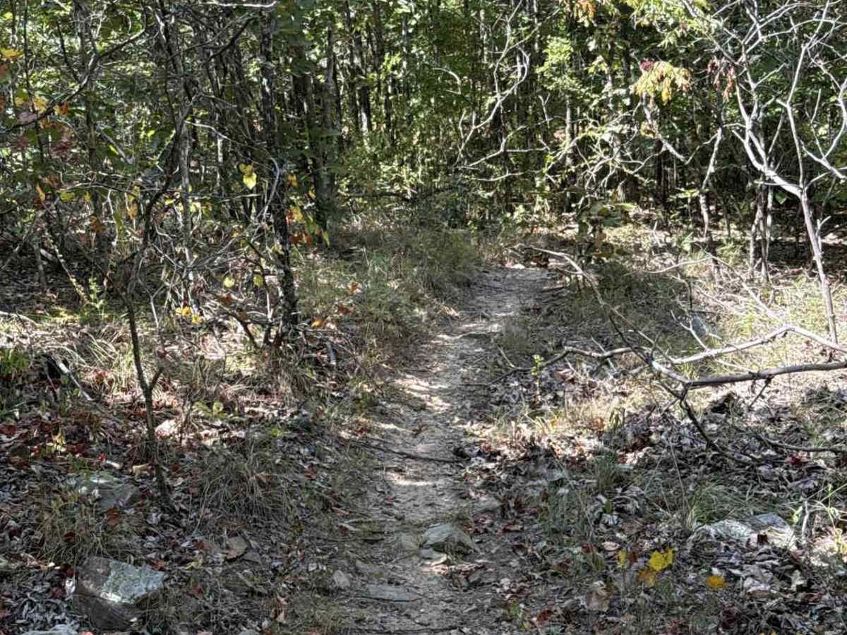 Pineapple Express trail photo