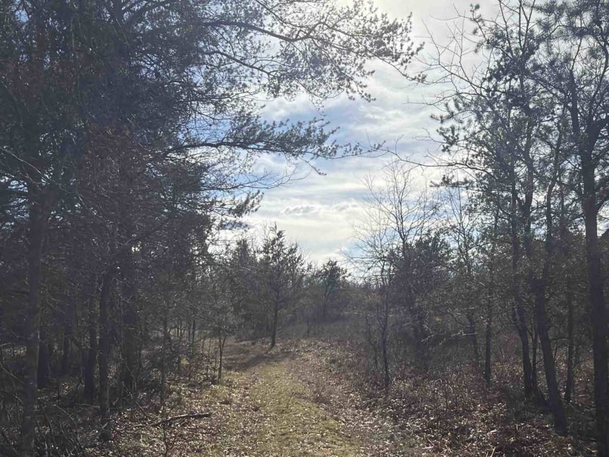 Path Less Traveled  photo 5